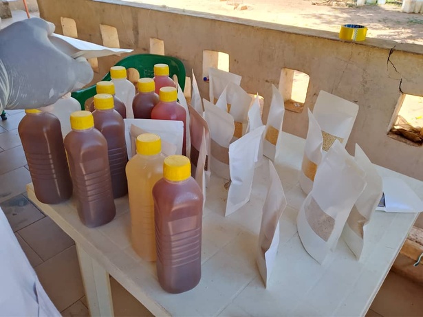 Sédhiou / Autonomisation des femmes : Le PASTEF prend une longueur d’avance Sédhiou / Autonomisation des femmes : Le PASTEF prend une longueur d’avance