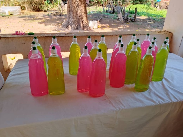 Sédhiou / Autonomisation des femmes : Le PASTEF prend une longueur d'avance Sédhiou / Autonomisation des femmes : Le PASTEF prend une longueur d'avance