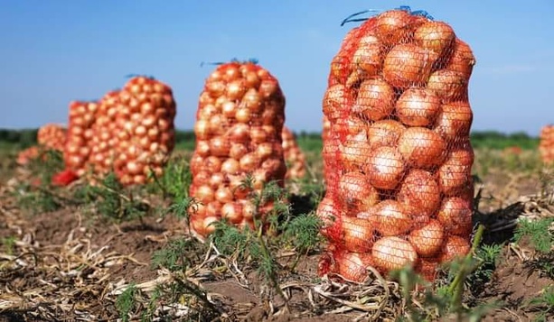 Gel des importations d’oignons : l’ARM et le ministère du commerce Gel des importations d’oignons : l’ARM et le ministère du commerce