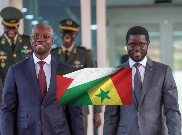 Soutien à la Palestine : Le Sénégal rejoint le « Groupe de La Haye » contre l’occupation israélienne Soutien à la Palestine : Le Sénégal rejoint le « Groupe de La Haye » contre l’occupation israélienne