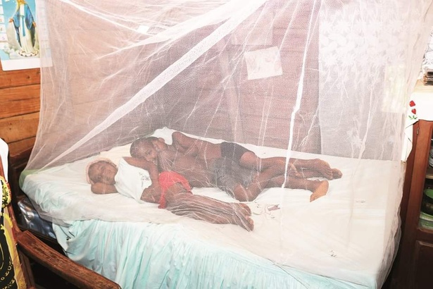 Trump met fin au financement du programme de vaccination contre le paludisme Trump met fin au financement du programme de vaccination contre le paludisme