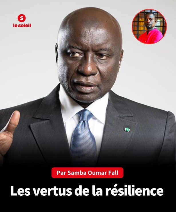 Les vertus de la résilience (Par Samba Oumar Fall) Les vertus de la résilience (Par Samba Oumar Fall)