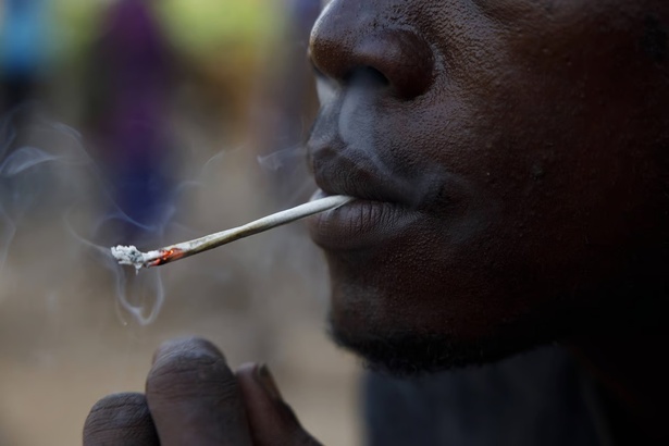 Le kush, une drogue mortelle qui ravage l’Afrique de l’Ouest Le kush, une drogue mortelle qui ravage l’Afrique de l’Ouest