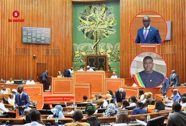 Assemblée nationale : La proposition de loi de Thierno Alassane Sall rejetée pour non-conformit Assemblée nationale : La proposition de loi de Thierno Alassane Sall rejetée pour non-conformit