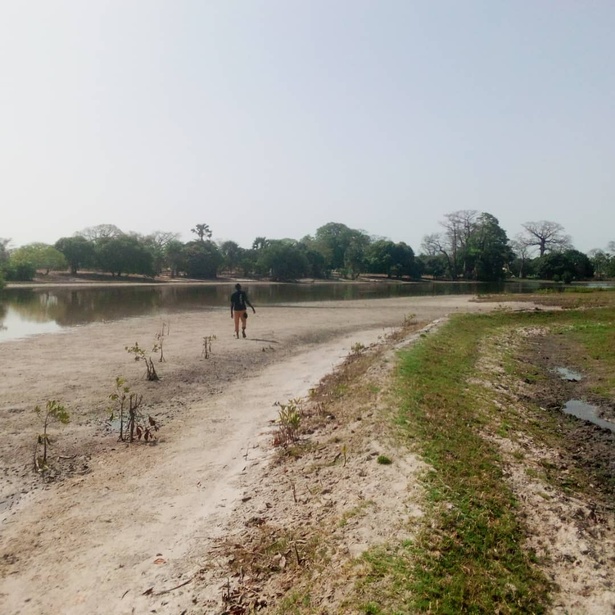 Blouf, Kalounayes, îles Karone : L’alerte des agriculteurs sur l’avancée du sel Blouf, Kalounayes, îles Karone : L’alerte des agriculteurs sur l’avancée du sel