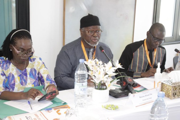 Loi d’amnistie : Alioune Tine plaide pour une concertation nationale Loi d’amnistie : Alioune Tine plaide pour une concertation nationale