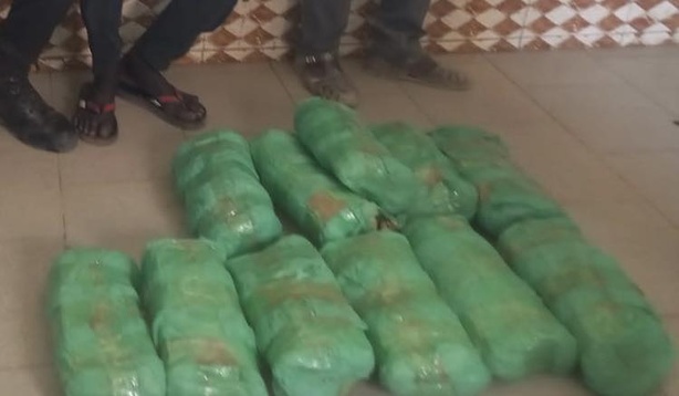 Touba : un individu interpellé avec 12 kg de chanvre indien Touba : un individu interpellé avec 12 kg de chanvre indien