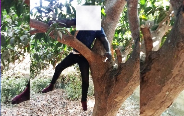 Kafountine : Découverte d’un corps pendu, une enquête ouverte sur la mort d’un Sierra-Léonais Kafountine : Découverte d’un corps pendu, une enquête ouverte sur la mort d’un Sierra-Léonais
