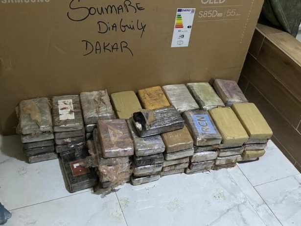 Sénégal – Guinée-Bissau – Mali : un vaste réseau de trafiquants de cocaïne démantelé Sénégal – Guinée-Bissau – Mali : un vaste réseau de trafiquants de cocaïne démantelé