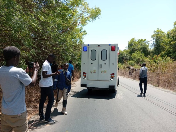 Accident sur l’axe Cap-Skiring–Ziguinchor : la circulation paralysée et plusieurs blessés Accident sur l’axe Cap-Skiring–Ziguinchor : la circulation paralysée et plusieurs blessés