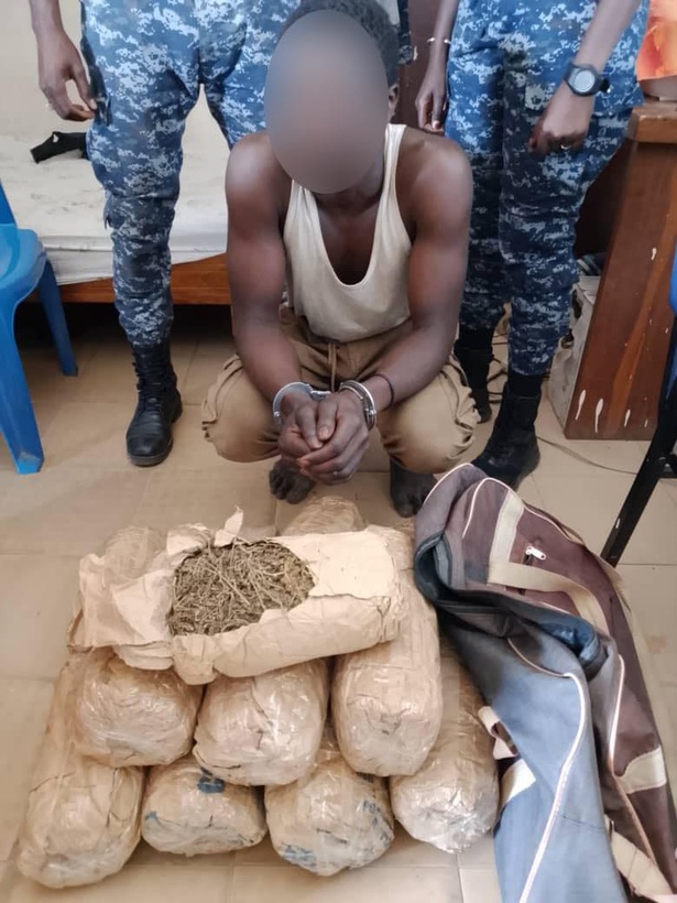 Fimela, Sokone, Dakar : plus de 391 kg saisis en 3 jours par la Gendarmerie Fimela, Sokone, Dakar : plus de 391 kg saisis en 3 jours par la Gendarmerie
