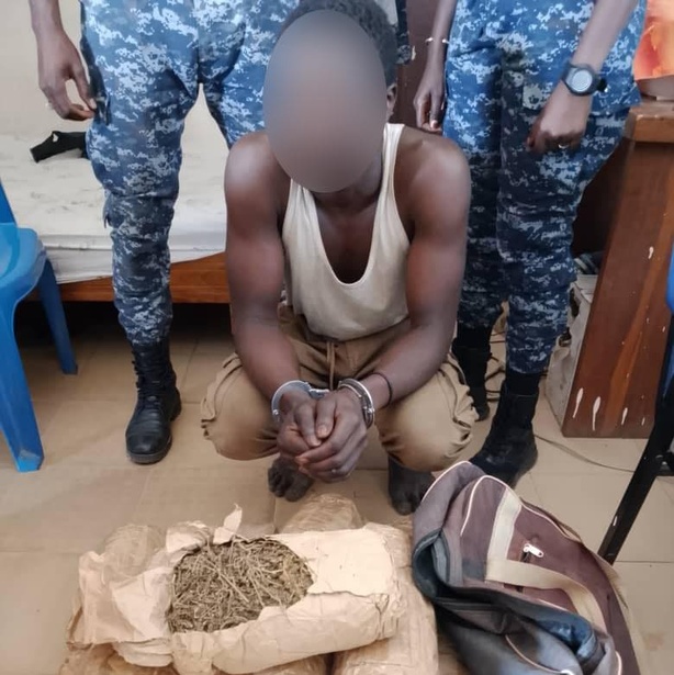 Fimela, Sokone, Dakar : plus de 391 kg saisis en 3 jours par la Gendarmerie Fimela, Sokone, Dakar : plus de 391 kg saisis en 3 jours par la Gendarmerie