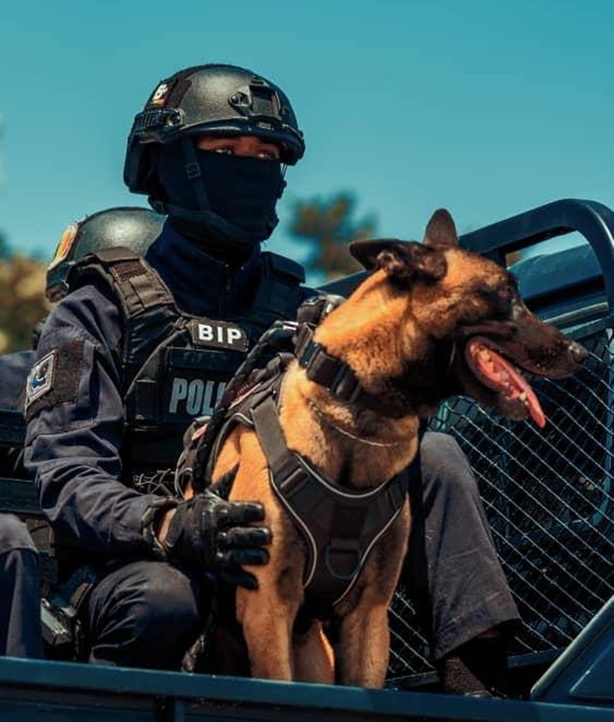 Police nationale : Plus de 5 tonnes de chanvre indien saisies en 2024