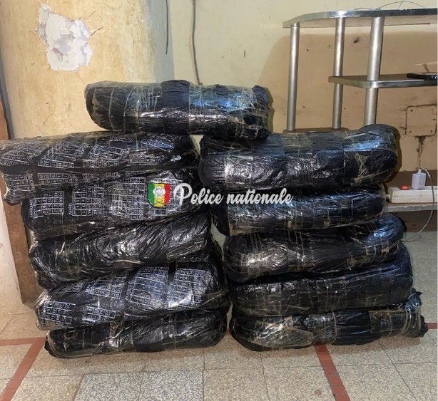 Kaolack : un trafiquant arrêté avec 11 kg de chanvre indien Kaolack : un trafiquant arrêté avec 11 kg de chanvre indien