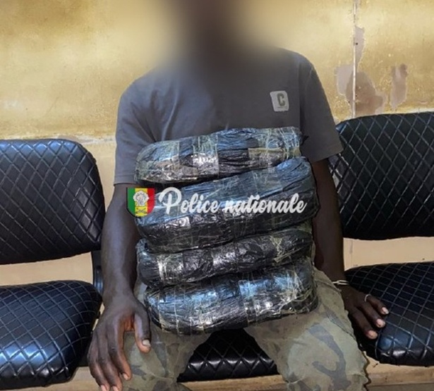 Kaolack : un trafiquant arrêté avec 11 kg de chanvre indien Kaolack : un trafiquant arrêté avec 11 kg de chanvre indien