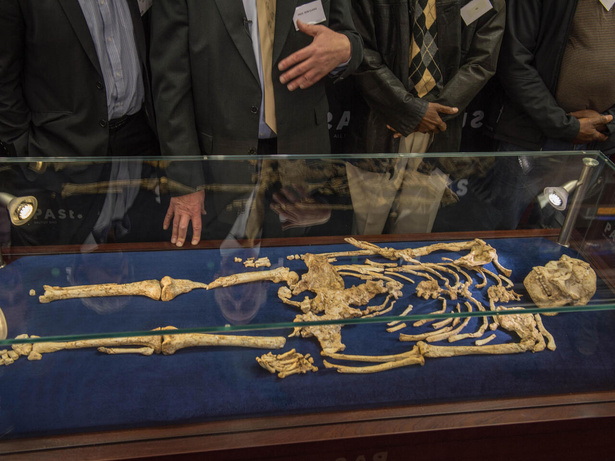 Réouverture du site préhistorique de Sterkfontein en Afrique du Sud : Un lieu clé pour la paléontologie Réouverture du site préhistorique de Sterkfontein en Afrique du Sud : Un lieu clé pour la paléontologie