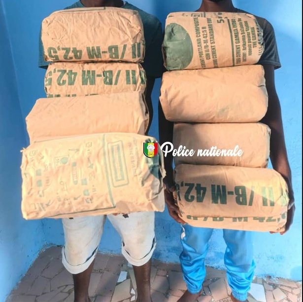 Ziguinchor : deux individus arrêtés avec 8 kg de chanvre indien Ziguinchor : deux individus arrêtés avec 8 kg de chanvre indien