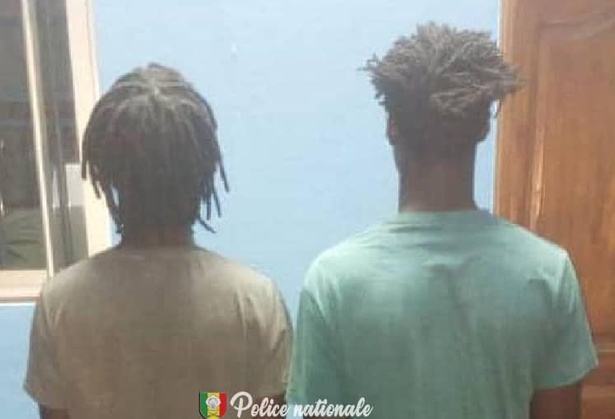 Ziguinchor : deux individus arrêtés avec 8 kg de chanvre indien Ziguinchor : deux individus arrêtés avec 8 kg de chanvre indien