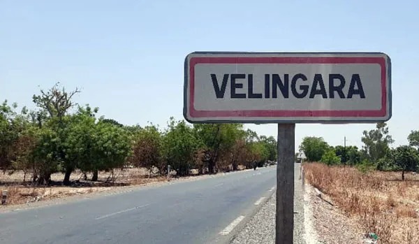 Vélingara : Un enseignant arrêté pour diffusion de fausses nouvelles