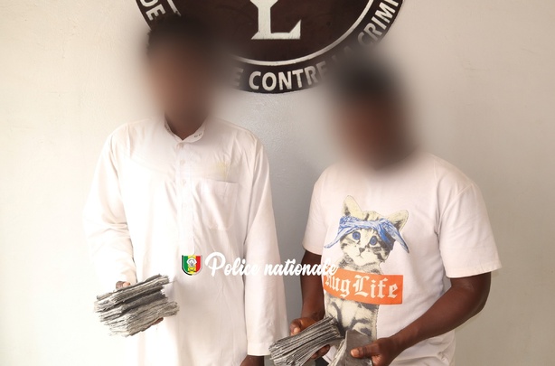 Faux billets à Keur Massar : deux étrangers interpellés avec 5 millions de dollars en coupures noires Faux billets à Keur Massar : deux étrangers interpellés avec 5 millions de dollars en coupures noires