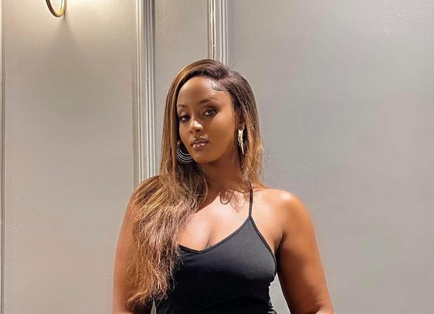 À la découverte de l'artiste Laika ! À la découverte de l'artiste Laika !