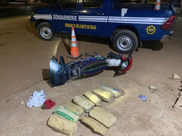 Trafic de drogue à Diass : les suspects prennent la fuite, 9 kg de chanvre saisis Trafic de drogue à Diass : les suspects prennent la fuite, 9 kg de chanvre saisis