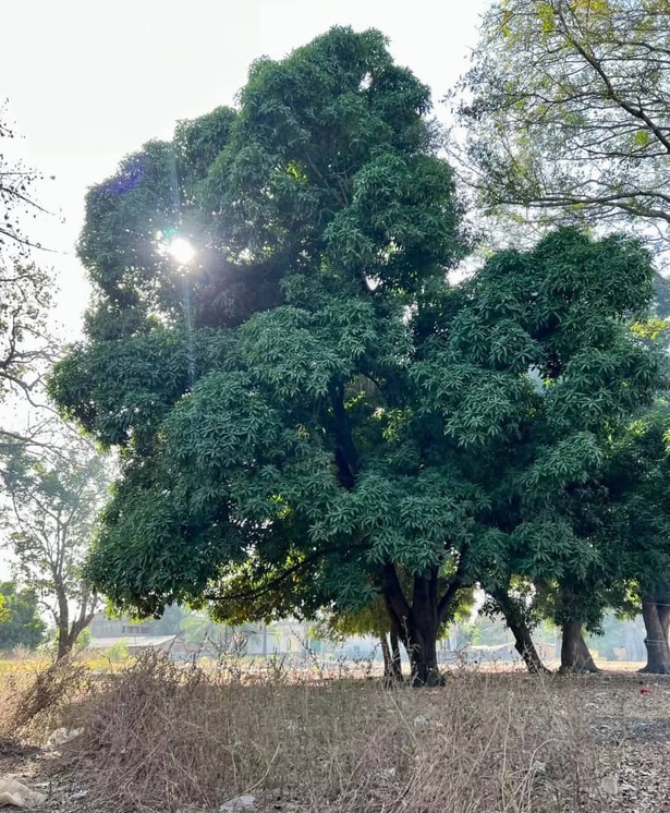 Météo Sénégal : Un Mercredi ensoleillé, mais attention à la qualité de l’air Météo Sénégal : Un Mercredi ensoleillé, mais attention à la qualité de l’air