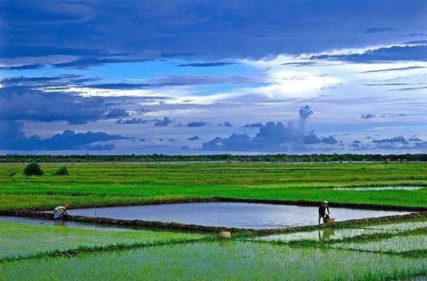 Casamance : terre de richesses, levier de croissance durable Casamance : terre de richesses, levier de croissance durable