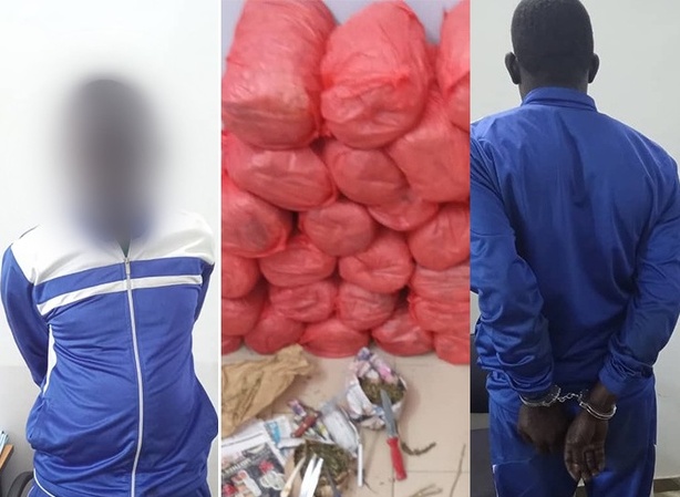 Trafic de drogue à Guinaw Rails : un individu interpellé avec 28 kg de chanvre indien Trafic de drogue à Guinaw Rails : un individu interpellé avec 28 kg de chanvre indien