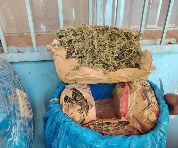 Lutte contre le trafic de drogue : importante saisie de chanvre indien au large de la plage de Hann Lutte contre le trafic de drogue : importante saisie de chanvre indien au large de la plage de Hann