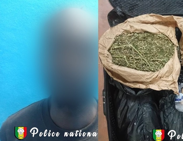 Trafic de drogue à Ziguinchor : 11 kg de chanvre saisis sur un conducteur de moto et un tapissier Trafic de drogue à Ziguinchor : 11 kg de chanvre saisis sur un conducteur de moto et un tapissier