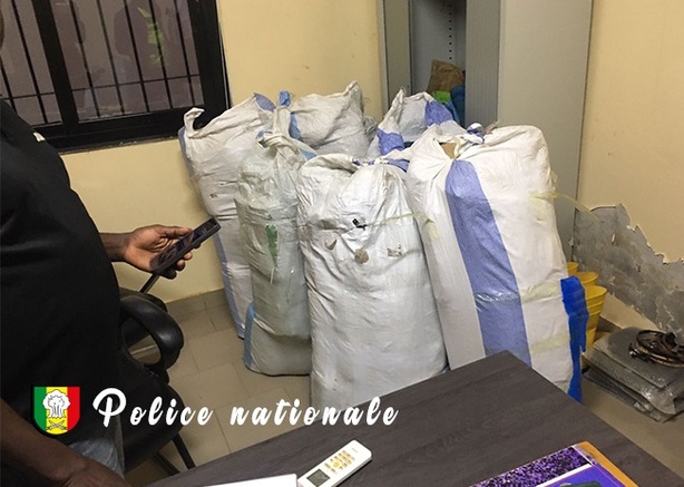 Trafic de stupéfiants : la BRS de Thiès intercepte 192 kg de chanvre indien Trafic de stupéfiants : la BRS de Thiès intercepte 192 kg de chanvre indien