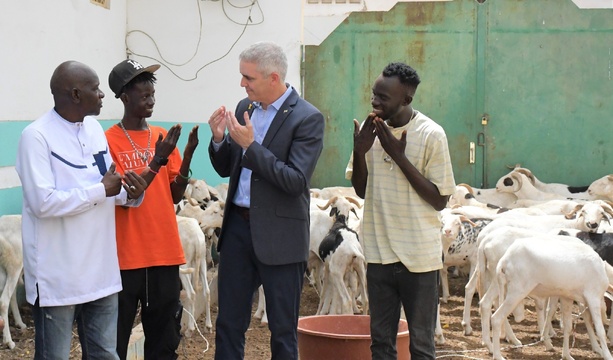 L’ambassadeur d’Israël hué et chassé de l’UCAD, tente un contre-feu avec un don de moutons L’ambassadeur d’Israël hué et chassé de l’UCAD, tente un contre-feu avec un don de moutons