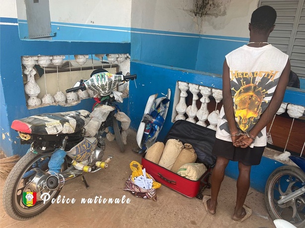 Kolda : Un individu interpellé pour trafic de chanvre indien au quartier Gadapara Kolda : Un individu interpellé pour trafic de chanvre indien au quartier Gadapara