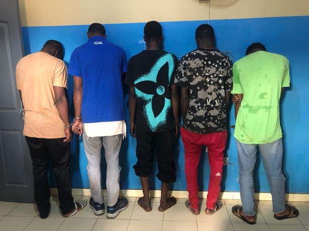 Saisie de chanvre indien à Dias : cinq individus arrêtés pour trafic et association de malfaiteurs Saisie de chanvre indien à Dias : cinq individus arrêtés pour trafic et association de malfaiteurs