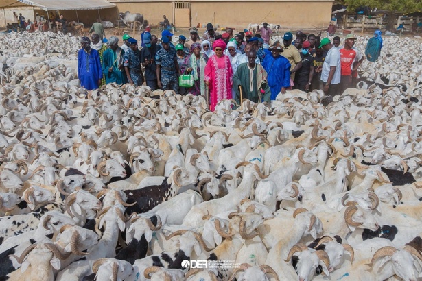 Tabaski : 5 204 familles bénéficient du soutien de la DER/FJ Tabaski : 5 204 familles bénéficient du soutien de la DER/FJ