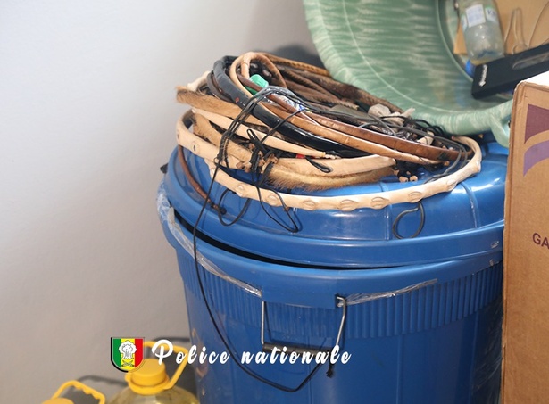 Thies : La police neutralise un groupe de cambrioleurs lourdement équipés Thies : La police neutralise un groupe de cambrioleurs lourdement équipés