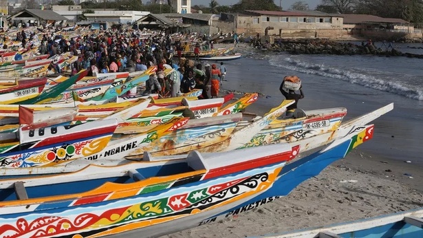 Sécurité, environnement, pétrole : Le Sénégal révise son Code maritime avec plus de 800 nouveaux articles Sécurité, environnement, pétrole : Le Sénégal révise son Code maritime avec plus de 800 nouveaux articles