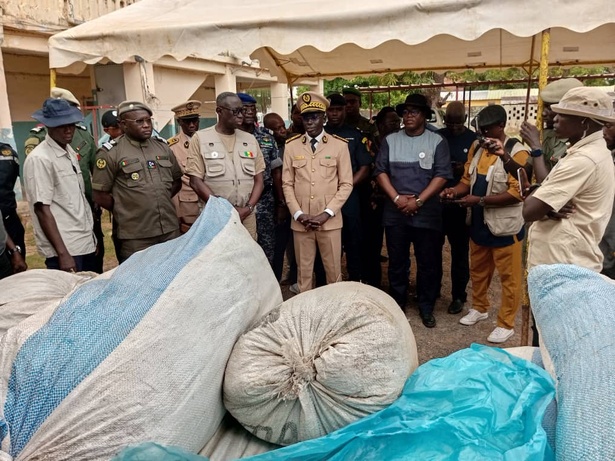 Le Général Tine en mission dans le Sud : le chanvre indien dans le viseur de l’État Le Général Tine en mission dans le Sud : le chanvre indien dans le viseur de l’État