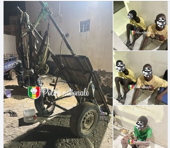 Cambérène : trois agresseurs interpellés après un vol à l’arraché Cambérène : trois agresseurs interpellés après un vol à l’arraché