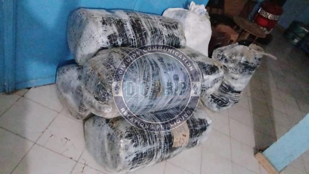 Sandiara : 175 kg de chanvre indien interceptés par la Gendarmerie Sandiara : 175 kg de chanvre indien interceptés par la Gendarmerie