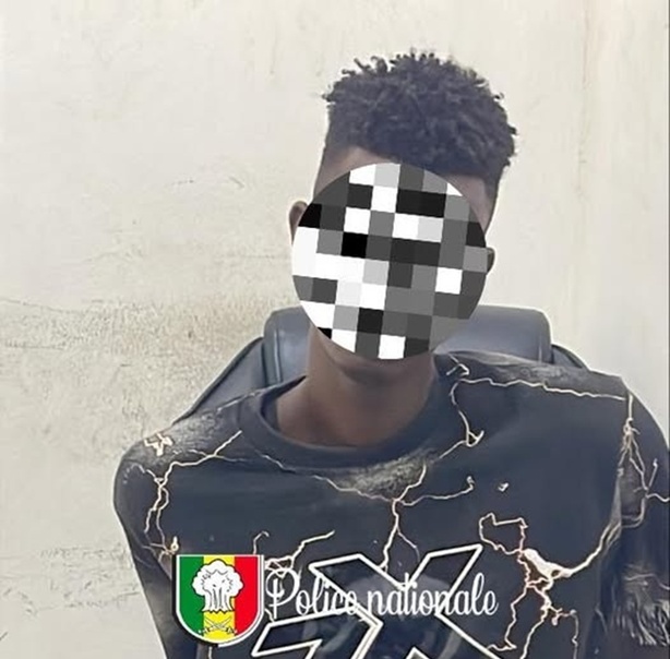 Vol de bétail : un suspect clé arrêté à Keur Ndiaye Lo Vol de bétail : un suspect clé arrêté à Keur Ndiaye Lo