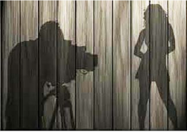 Le mystère Seneporno persiste : le site reste accessible Le mystère Seneporno persiste : le site reste accessible