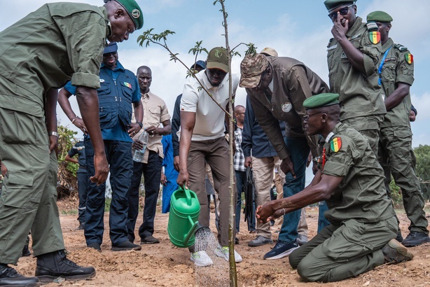 Le président Diomaye Faye lance la Caravane écologique nationale depuis la forêt de Mbao Le président Diomaye Faye lance la Caravane écologique nationale depuis la forêt de Mbao