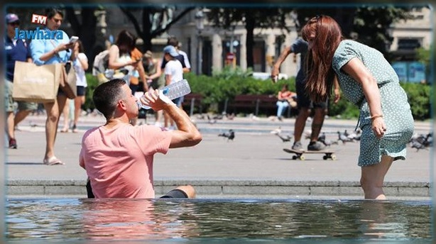 Canicule au Portugal : Plus de 260 morts en une semaine Canicule au Portugal : Plus de 260 morts en une semaine