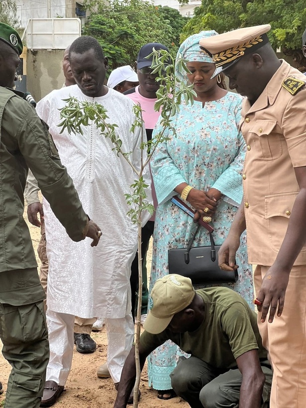 Sortie musclée du Préfet de Kaolack : le maire Serigne Mboup dénonce une "atteinte grave" à l'autorité municipale Sortie musclée du Préfet de Kaolack : le maire Serigne Mboup dénonce une "atteinte grave" à l'autorité municipale