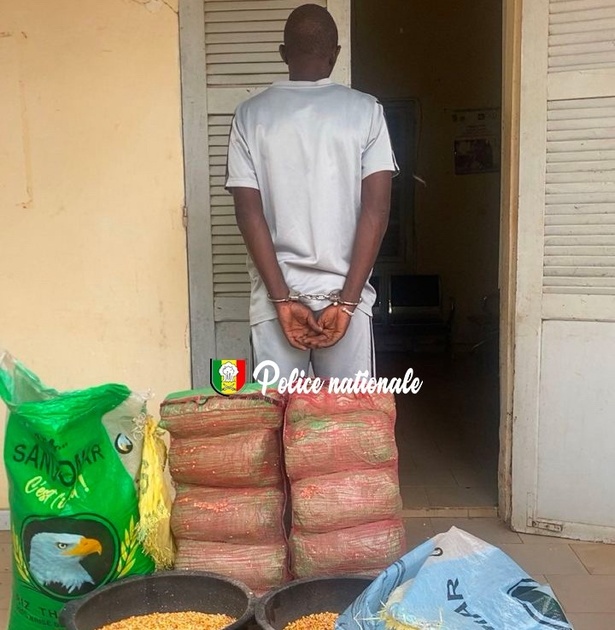 Trafic de drogue : la police découvre 18 kg de chanvre dissimulés dans des sacs de maïs Trafic de drogue : la police découvre 18 kg de chanvre dissimulés dans des sacs de maïs