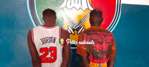 Lutte contre le trafic de drogue : six interpellations à Ndamatou Lutte contre le trafic de drogue : six interpellations à Ndamatou