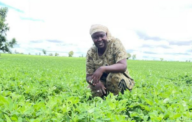 Dr. Mabouba Diagne salue l’engagement agricole d’Amy Ndiaye Gniby
