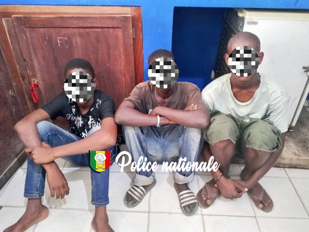 Diamaguène Sicap Mbao : Trois individus arrêtés pour vente de viande impropre à la consommation